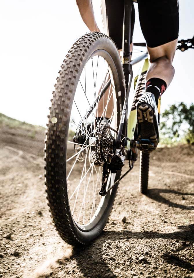 Back of mountain biker