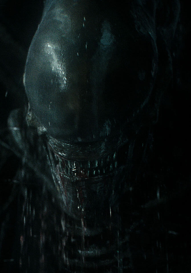 Alien face